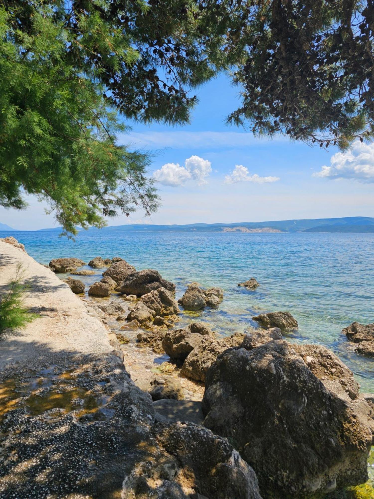 Villa Roing S Stanici Exteriör bild